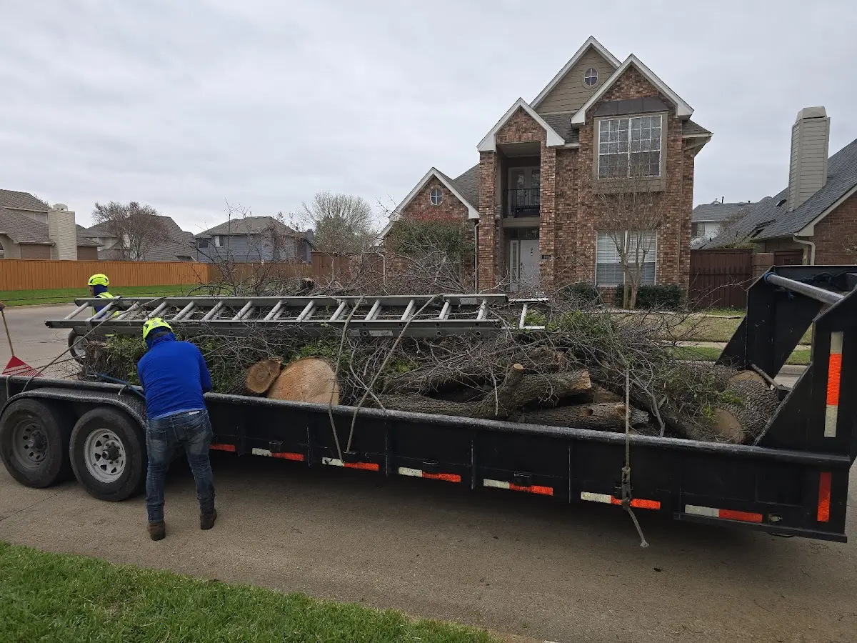 Expert Tree Pest Control with proper safety equipment in Heath
